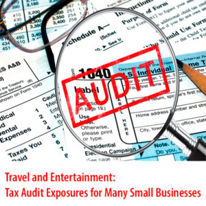 Top Tax Audit Exposures for Land Care Business Owners